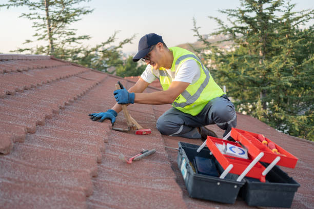 Roof Gutter Cleaning in Thornwood, NY